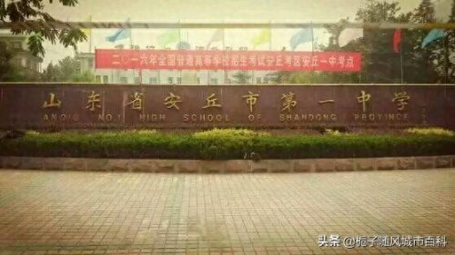 安丘和平初中排名前十(安丘最好的初中排名)插图2