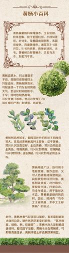 上海遮阳网厂家排名前十(遮阳网质量排行榜)插图1