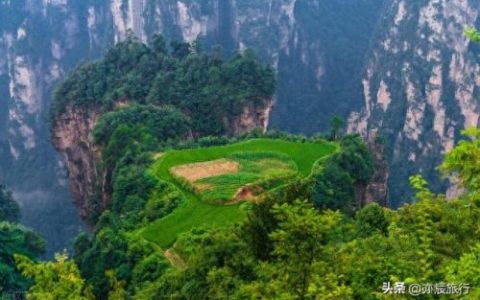 世界最美森林公园排名前十(十大森林公园排行榜)