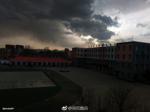 夏普S3 (mini开箱测评)插图12