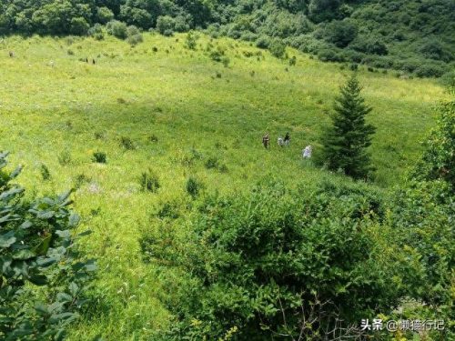 北京十大山峰海拔排行榜(中国所有山峰海拔排名)插图16