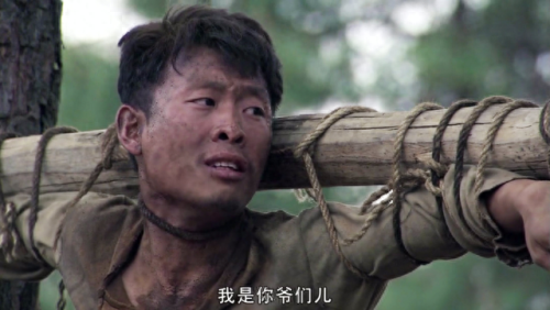 有什么好看的电视剧吗(2023口碑最好十部国剧)插图19