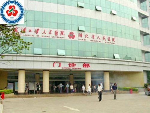 中国医院试验室排名前十(第三方医学实验室排名)插图49