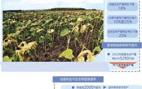 乌克兰养蜂业排名前十(乌克兰企业排名)