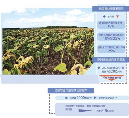 乌克兰养蜂业排名前十(乌克兰企业排名)插图