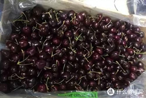测厚卡尺十大品牌排行榜(品牌卡尺排行榜)插图9