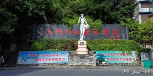 高质量茶叶品牌排行榜十大(十大高档茶叶品牌)插图16
