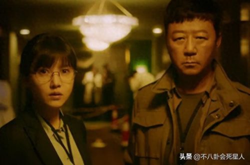 中国前十破案电视剧排名(十大最好的破案电视剧)插图33