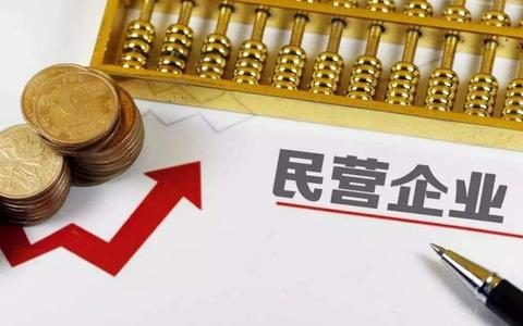 民营企业具体指哪些(民营企业指的是哪些企业)