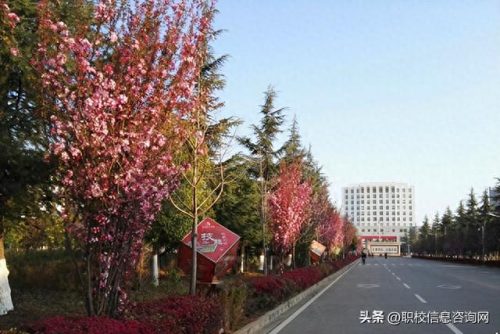 麒麟区财会公司排名前十(曲靖财会公司十大排名)插图2