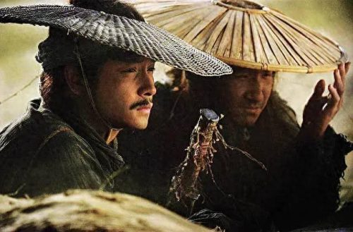 广东省十大恶人排行榜(东莞曾经的10大恶人)插图38
