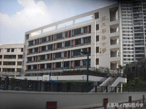 广州出名的小学排名前十(广州市十大最好小学)插图9