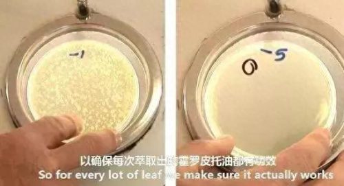 脚气药十大排行榜 进口(进口脚气药排行榜)插图21