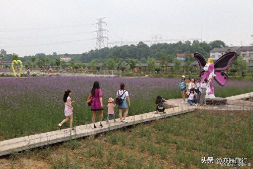 荆门十大公园排行榜最新(荆门十大免费公园)插图16