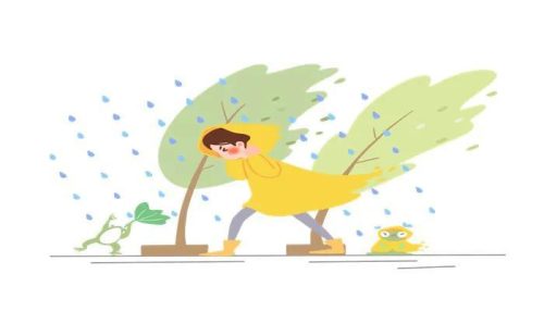 广东地区台风一般都是什么时候(广东的台风啥时候结束)插图2