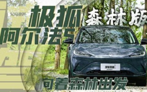 高端汽车(自主品牌)