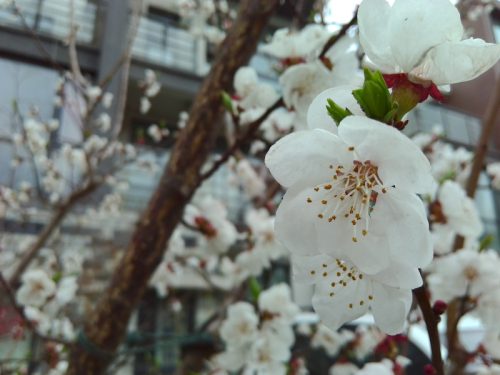 小米2a怎么样手机参数配置(小米2a参数设置)插图29