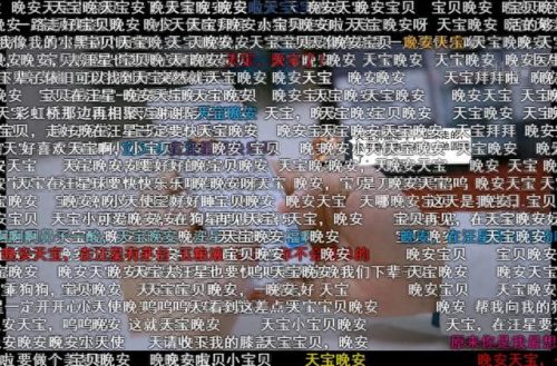 宠物第三季排名前十(宠物09年第三季)插图