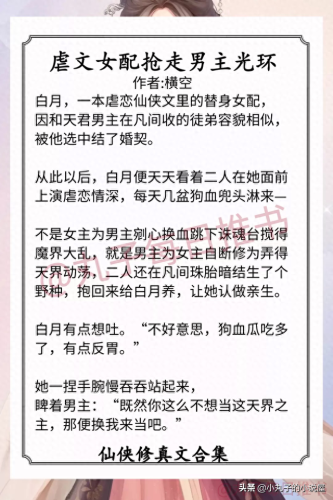 玄幻小说十大公主排行榜(女主是亡国公主被男主灭国的小说)插图7