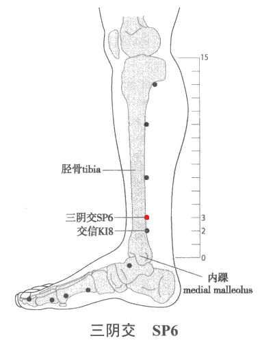 十大算命软件排行榜有哪些(免费算命软件排行)插图7