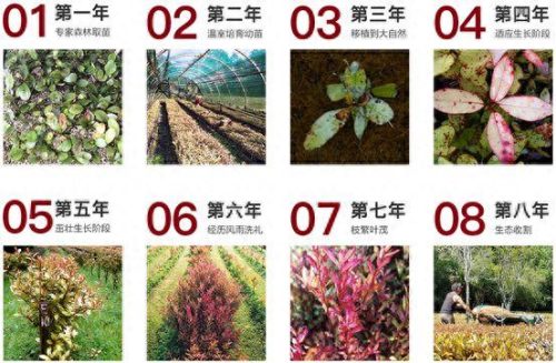 脚气药十大排行榜 进口(进口脚气药排行榜)插图18
