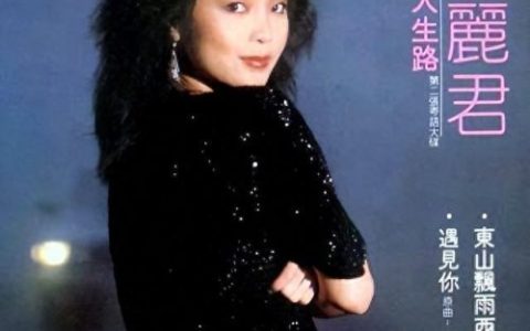 十大日语神级歌曲排行榜(十大日语的动漫歌曲)