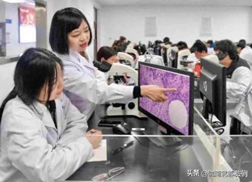 未来医学科学专业排名前十(大气科学专业排名)插图5