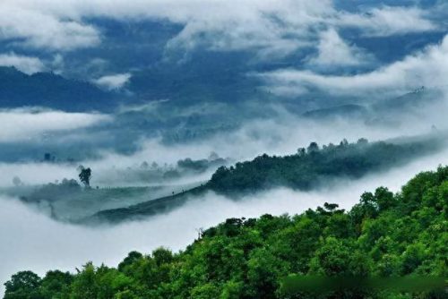 十大普洱茶山排行榜名称(六大普洱茶山代表品牌)插图2