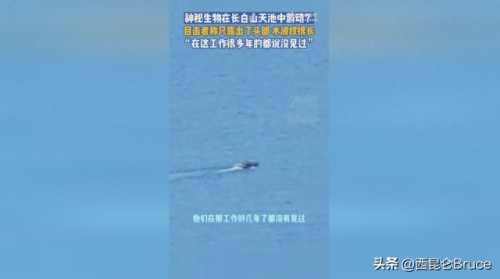 水怪真相(尼斯湖水怪真相)插图1