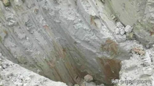 暗纹纹身十大禁纹排行榜(不可以纹的十大经典纹身)插图12