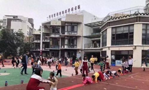 东莞龙岗的小学排名前十(凤岗的小学排名一览表)插图9