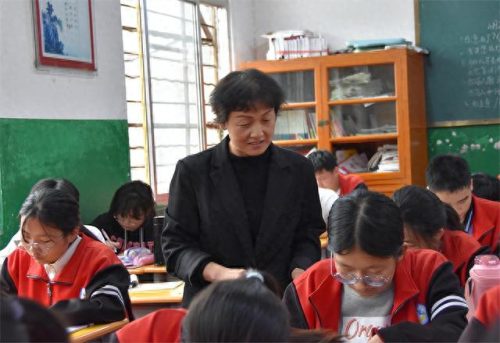 镇平县 初中排名前十(镇平县小学排名)插图6