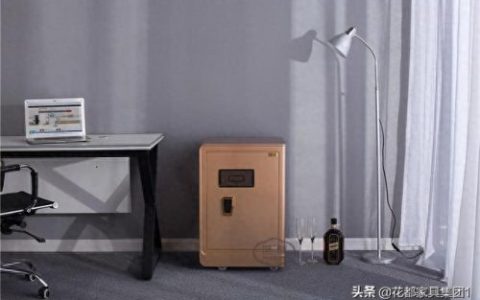 拉萨大型保险柜排名前十(拉萨大型保险柜排名)