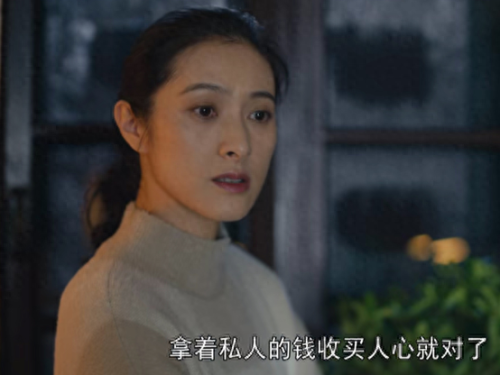 2022热播的十部电视剧(2022电视剧热播排行榜)插图43