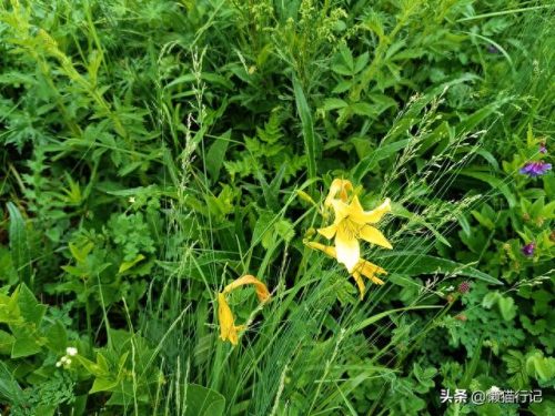 北京十大山峰海拔排行榜(中国所有山峰海拔排名)插图9