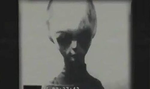 巴西亚马逊外星人事件经过拍到外星人的真面目(新闻巴西亚马逊拍到外星人)插图2