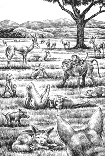 恐龙大战武力排名前十(恐龙大战谁能赢)插图14