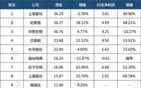 中国化妆品份额排名前十(中国化妆品排名前10)