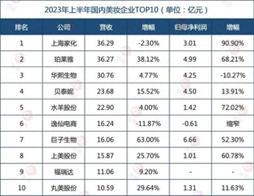 中国化妆品份额排名前十(中国化妆品排名前10)插图