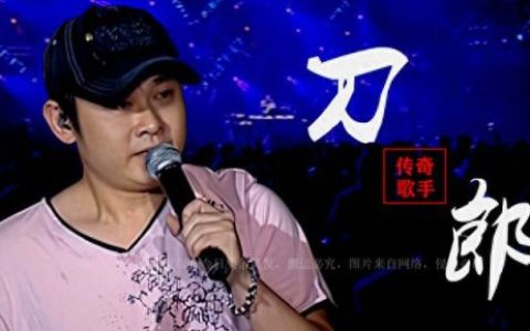 每年最受欢迎歌曲排名前十(2022年排名前十的歌曲)