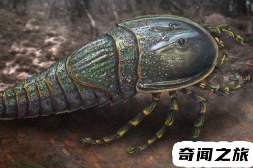 最危险的远古巨兽有哪些(最晚灭绝的远古巨兽)插图4