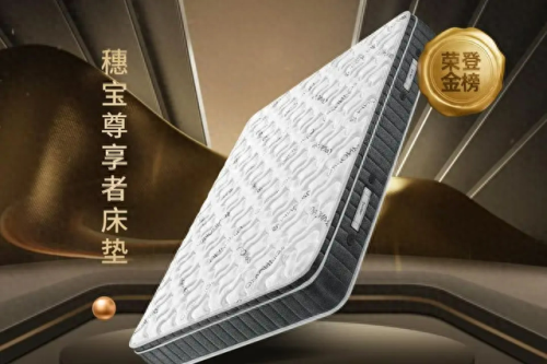 十大床垫万元左右排行榜(全棕床垫十大名牌)插图8