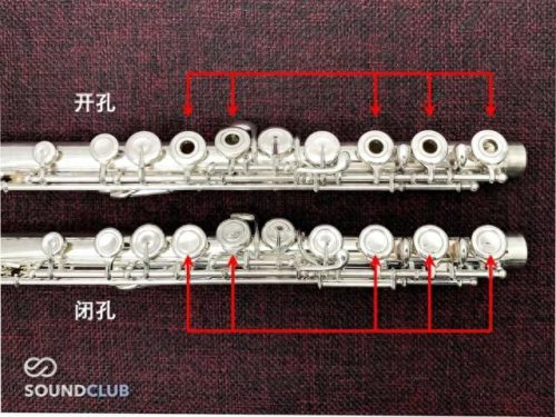 长笛品牌十大排行榜(口碑最好十大品牌长笛)插图4