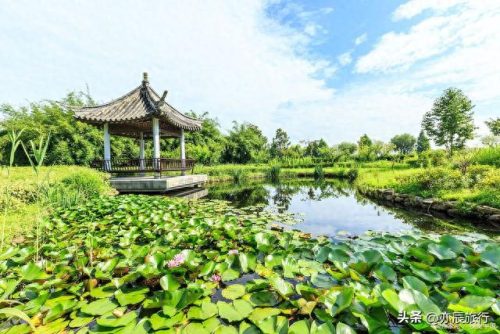荆门十大公园排行榜最新(荆门十大免费公园)插图25