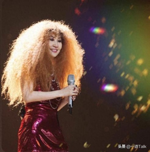 全国十大优秀女歌手排行榜(戴眼镜的女歌手)插图16