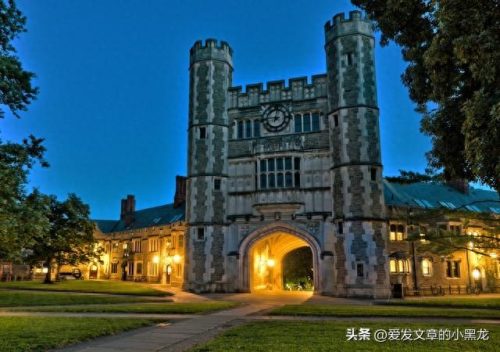 全球最大的大学排名前十(十大世界大学排名榜)插图7
