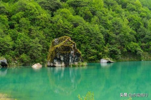 世界最美森林公园排名前十(十大森林公园排行榜)插图16