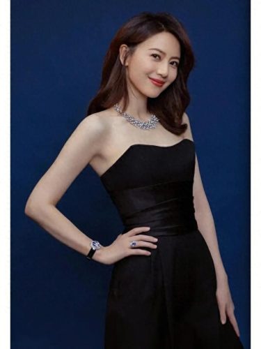 大陆最漂亮的女明星(美女图片)插图3