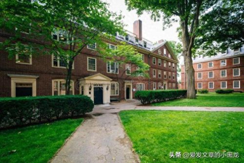 全球最大的大学排名前十(十大世界大学排名榜)插图10