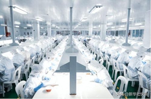 即食燕窝十大名牌排行榜最新(即食燕窝品牌十大排名)插图4